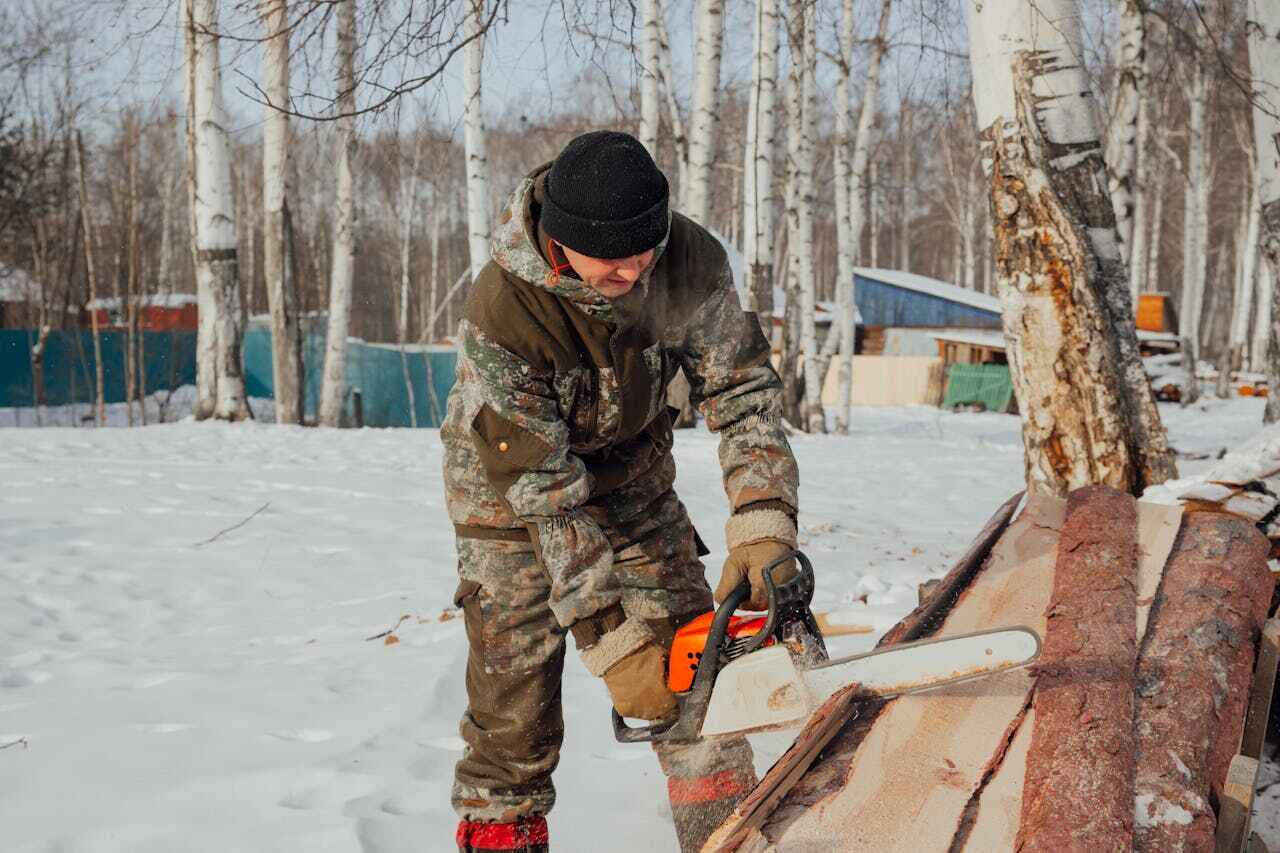 Tree Removal for Businesses in Plainfield, NJ